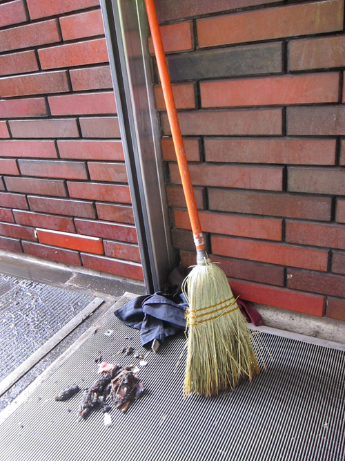 broom with debris